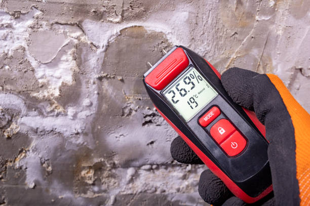 Reliable Crossville, TN Mold Removal Solutions