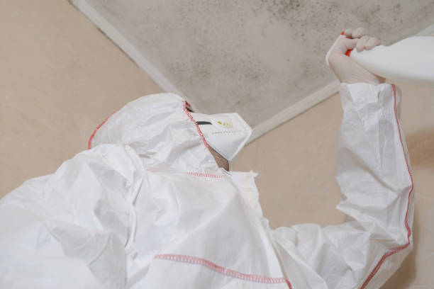 Best Mold Cleaning Services  in Crossville, TN